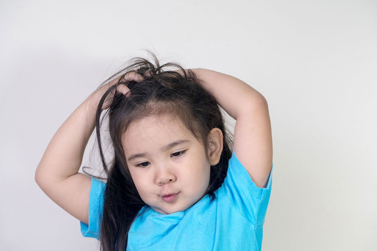 Penyebab Kutu Rambut pada Anak dan Cara Mengatasinya